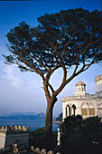 Villa, Marina Grande, Capri, Campania Italy