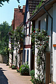 Half timbered houses at the old town, Hofheim Taunus, Hesse, Germany, Hesse, Germany, Europe