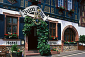 Blick auf Eingang von Hotel Krug, Hattenheim, Rheingau, Hessen, Deutschland, Europa