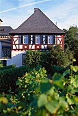 Half-timbered house in vineyard, Mittelheim Rheingau, Hesse, Germany