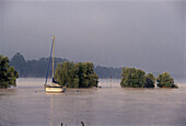Boot auf dem Rhein in der Morgendämmerung, Eltville, Rheingau, Hessen, Deutschland, Europa