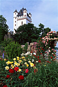 Blick auf kurfürstliche Burg Eltville und Rosengarten, Eltville, Rheingau, Hessen, Deutschland, Europa