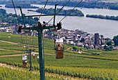 Blick auf Sessellift über idyllischer Landschaft, Rüdesheim, Rheingau, Hessen, Deutschland, Europa