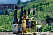 Weinsortiment, Flaschen, Freie Weingaertner Wachau Duernstein, Wachau, Oesterreich