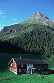 Bergbauernhof, Galtuer, Tirol Oesterreich