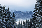 Winter Landscape, Bavaria Germany