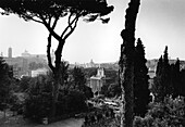 Capitole hill, Monumento Vittorio Emanuele II, Forum Romanum Rome, Italy