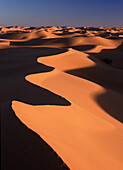 Grand Erg Occidental, Algerien, algerische Sahara, Grand Erg OccidentalnatureWueste, Sand, Landschaft, Sandduenen, Afrika English: Grand Erg Occidental, desert, dunes, Algerian Sahara, Algeria