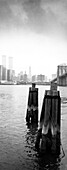 Hudson River, Manhattan Bridge, USA, New York, Kat, Impressionen, s/wEnglish: New York impressions in bundw, USAtravel kat, USA