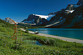 Bow Lake, Crowfoot Glacier, Banff National Park, Alberta, Canada