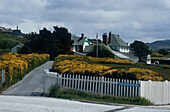 Port Stanley, Falklands, Governmenthaus Argentinein