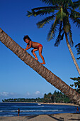 Kind klettert auf Palme, Karibik