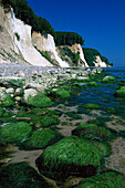 Steep coast, National park Jasmund, Ruegen, Mecklenburg-Western Pomerania, Germany