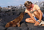 Sea lion playing with guide, Galapagos Islands, Ecuador, South America