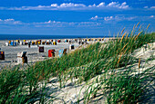 Beach with beach chairs, Northern village, Amrum, North Frisian Islands, Northern Frisia, Schleswig-Holstein, Germany