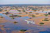 Flug-Safari, Okavango-Delta, Botswana, Afrika
