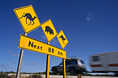 Warnschild vor Tiere am Highway, Landstraße, Queensland, Australien