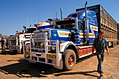 Road train, Cattle trucking, Lansdowne Station, Kimberley, Western Australia, Australia