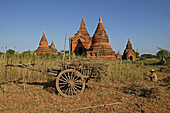 Farm cart in front of temple buildings, Landwirtschaft zwischen Tempeln, Weltkulturerbe, Ruinenfeld, Farming between the temples in Bagan, World Heritage
