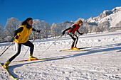 Cross-country Skiing, Ramsau, Styria Austria, Winter
