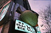 Fugu-Restaurant in the evening, Pufferfish restaurant, Tokio, Japan, Asia