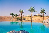 Palmen stehen am Pool des Al Maha Desert Resort, Dubai, Vereinigte Arabische Emirate