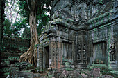 Ta Prohm, Angkor, near Siem Reap Cambodia