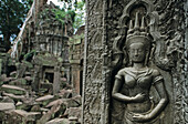stone relief, Ta Prohm, Angkor, Cambodia