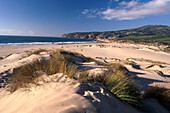 Sand dune, Praia de Guincho, Cabo da Roca, Portugal