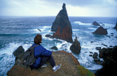 Cliff, Ponta do Castelo, Ponta Sao Lourenco, Madeira, Portugal
