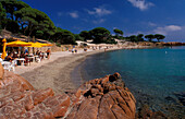 Strand von Palombaggia, Palombaggia, Porto Vecchio, Korsika, Frankreich