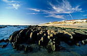 Coast area, Amorosa, Portugal