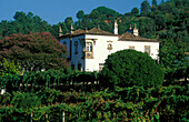 Quinta de Barreiro, Ponte de Lima, Portugal