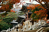 Pulguk-sa Tempelanlagen, Kyongju Nat. Park Suedkorea