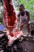 Pig feasting, John Frumm Village, Tanna Vanuatu, South Pacific
