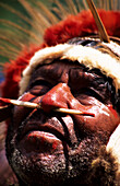 Face, Nose Bone, Mt Hagen, Eastern Highlands, Papua New Guinea, Melanesia