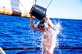 Sailor, Shower, Traditional Sailing Ship, Open Ocean Tonga, South Pacific