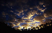 Tree shadow, clouds, Hidden Valley, Tropical North Queensland, Australia