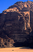 Camel, Mountain, Desert, Wadi Rum Jordan, Middle East