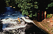 Riversurfing, Isar, Muenchen, Bayern Deutschland