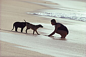 Woman and dogs on the beach, Sunset Beach, Hawaii, USA, America