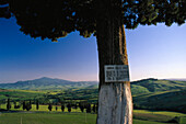 Typical tuscan Landscape, Toscana Italy