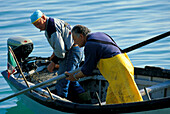 Fischermen, Marken Italy