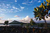 Coast area under clouded sky, Mauritius, Africa