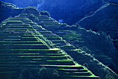 View at rice terraces, Banaue, Mountain Province, Luzon, Philippines, Asia