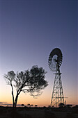 Windrad und Baum bei Sonnenuntergang, Woomera, Stuart Highway, Australien