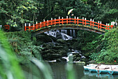Blick auf Brücke in einem Park, Wulai, Taipeh, Taiwan, Asien