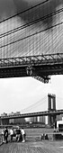 Brooklyn, Brooklyn with Brooklyn Bridge and Manhattan Bridge, New York City, USA