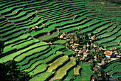 Reisterrassen und die Hütten eines Dorfes, Batad Berg Provinz, Luzon, Philippinen, Asien