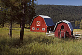 Farm at Wiliams Lake, Brit. Columbia Canada